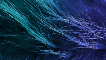 We Ve Got The Fur Coat AND The Knickers Listing Block